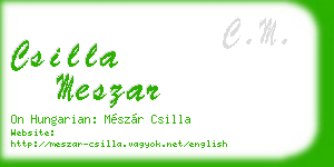 csilla meszar business card