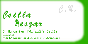 csilla meszar business card